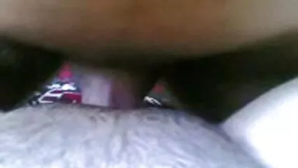 షో 